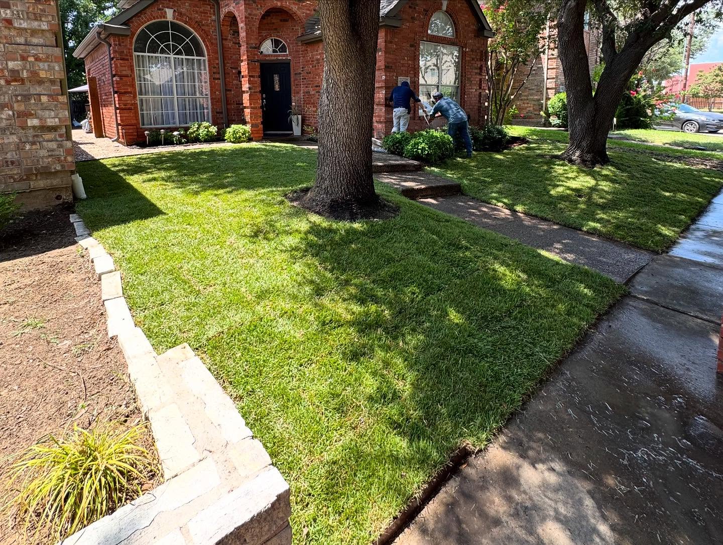 Sod Installation